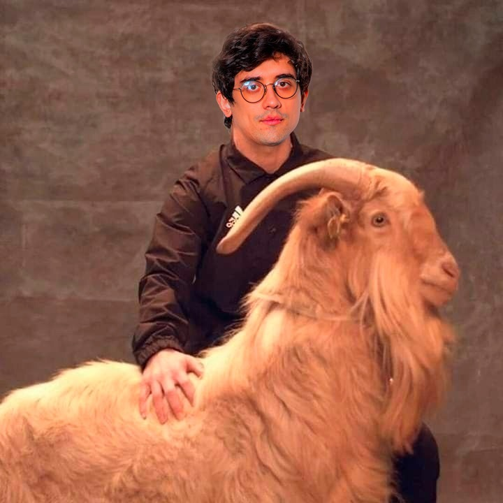 Team Liquid Alienware tweet media