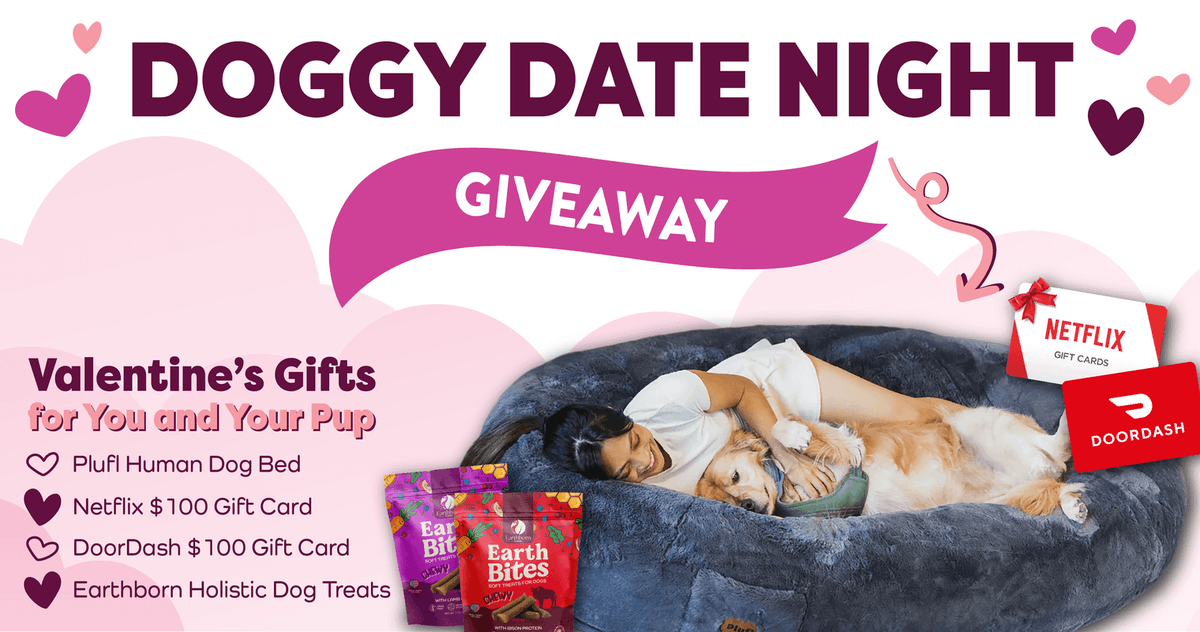 MichelleCat5's tweet photo. EH | Doggy Date Night https://t.co/zwfaHx6hLI 

#win #dog #doggylove #furbaby #dogmom #sweepstakes #giveaway https://t.co/THknZ68FMa