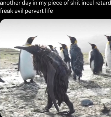 Sr Paca🇪🇺 tweet media