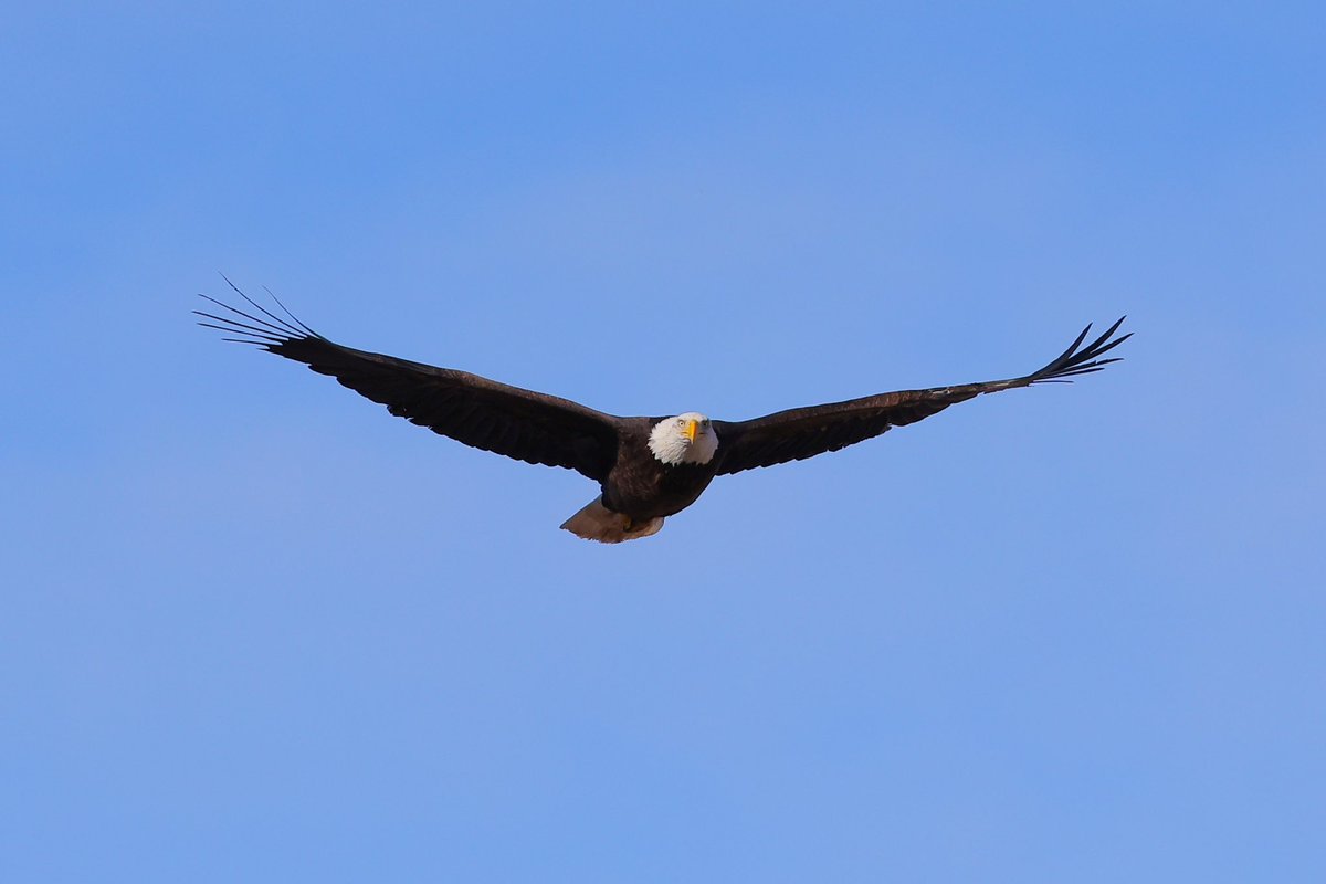 Denis D Dunathan tweet media