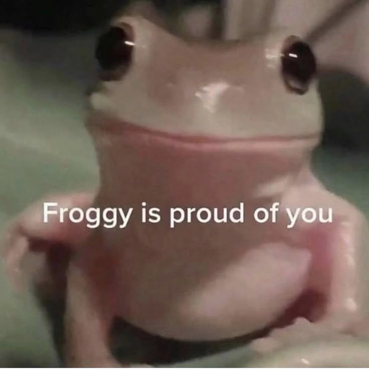 nocontextfrogs's tweet photo. https://t.co/RWS70ZLrV7