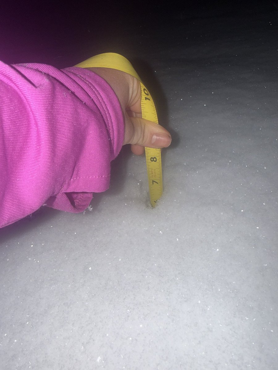 Addison Wheeler 2029 tweet media