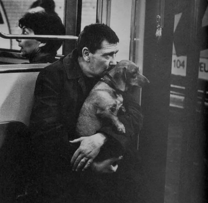 "La extraño y se lo digo con todo el silencio del que soy capaz".

         ~ Charles Bukowski.