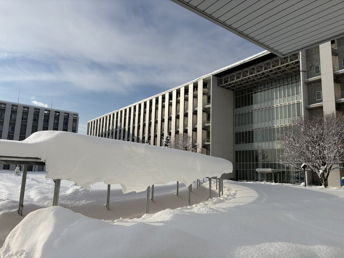 Hajime Ito tweet media