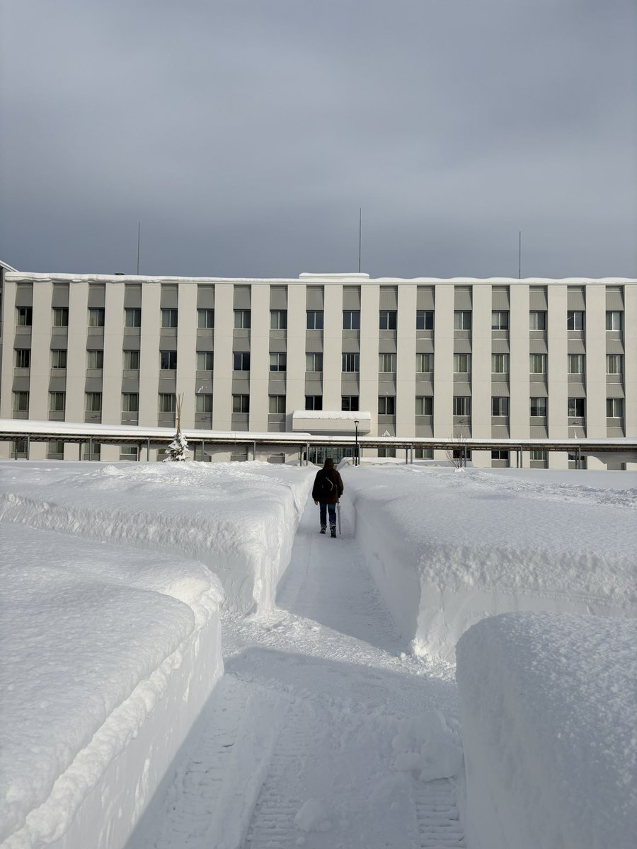 Hajime Ito tweet media