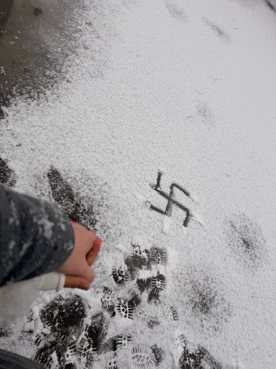 EaSupremacist's tweet photo. Date with the girlfriend after the snow ⚡️⚡️ 𖦏 #aryan #europa #AH #HH #SEIG #WP https://t.co/Nm2tvsLLQo