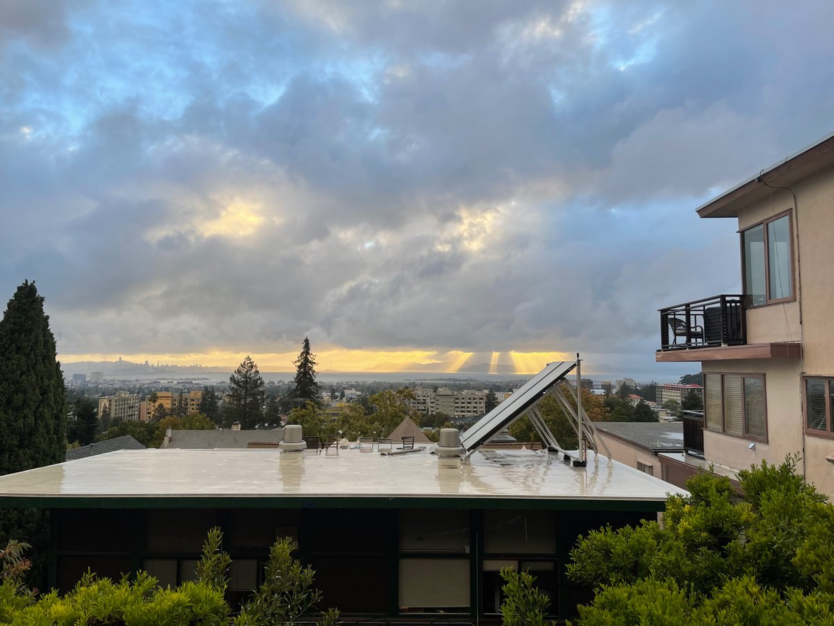 shit girl tweet media