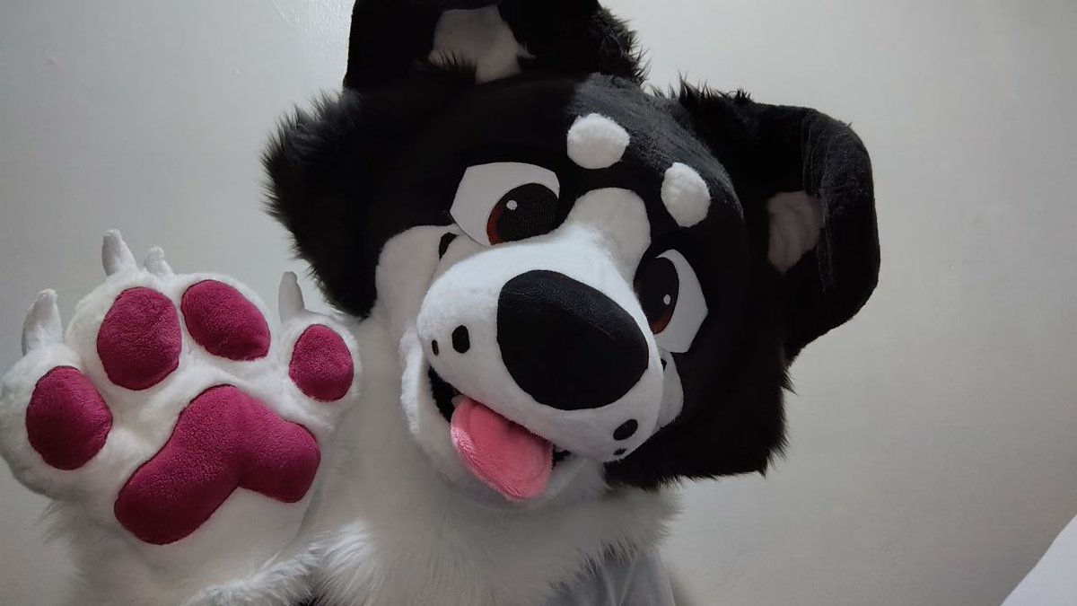 Pawyote Suits tweet media