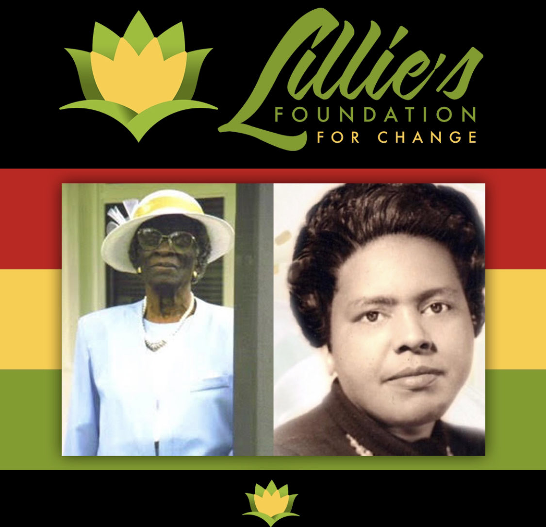 Lillie’s Foundation tweet media