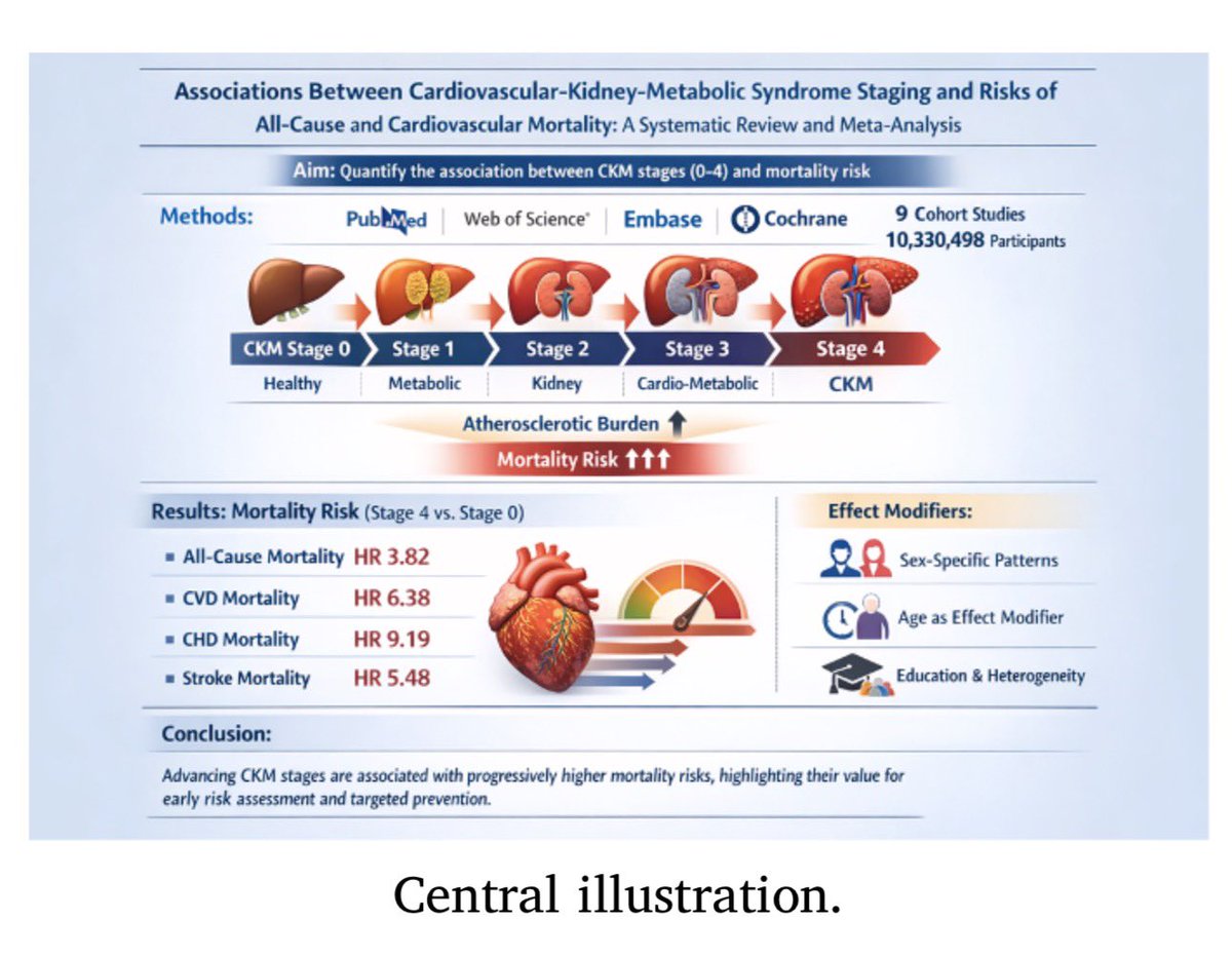 🩺📊 El Riñón como Eje del Riesgo Cardiometabólico: Lo que Confirma la Nueva Evidencia

Un metaanálisis internacional con más de 10 millones de pacientes demuestra que el daño renal integrado al síndrome Cardiovascular–Renal–Metabólico (CKM) es uno de los principales