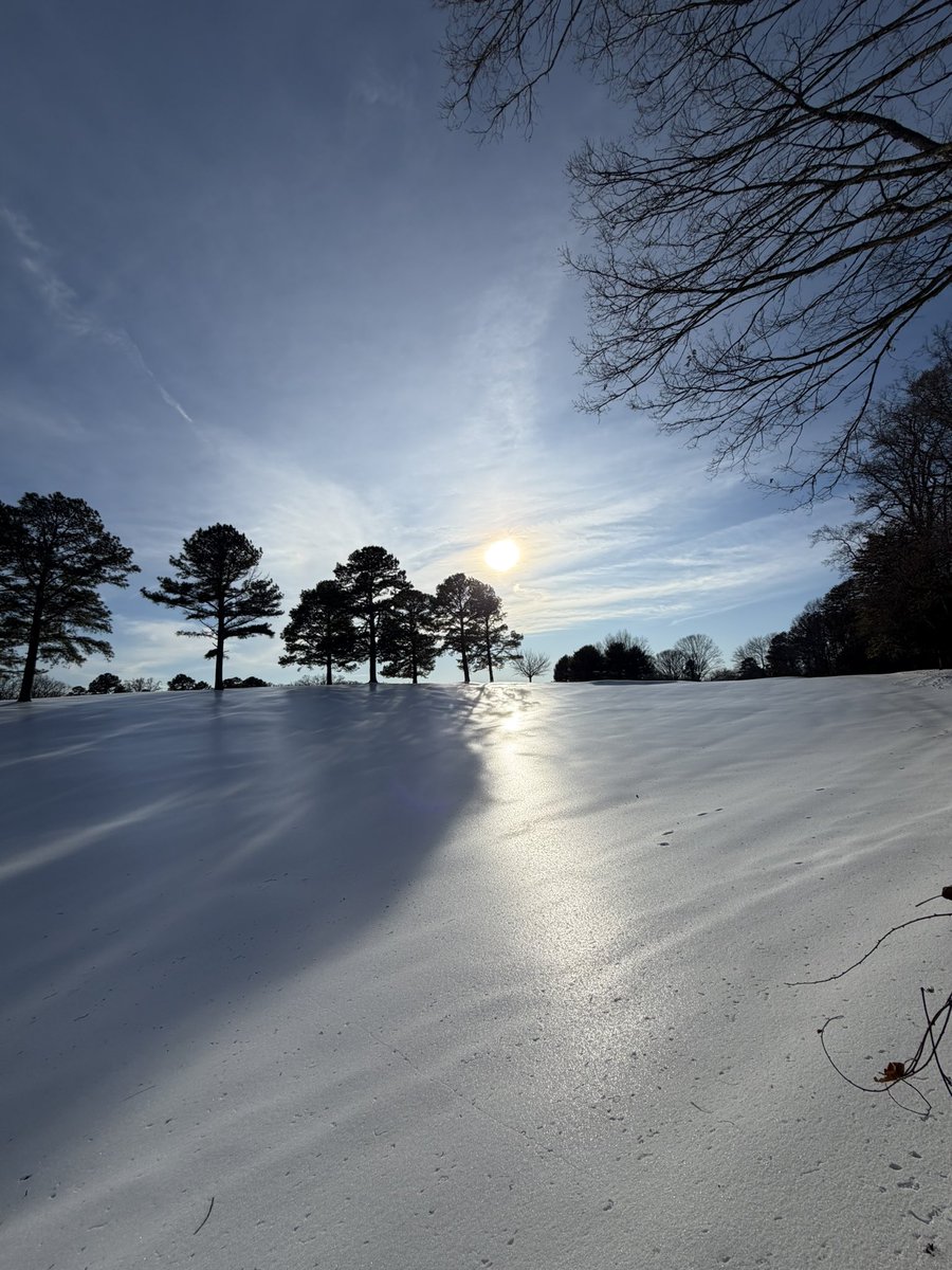 LouisVuittonDong tweet media