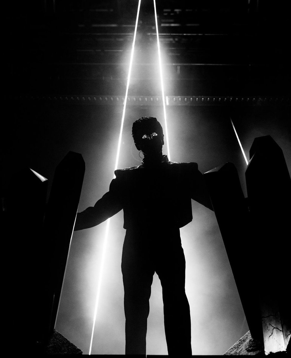 maybe: elle tweet media