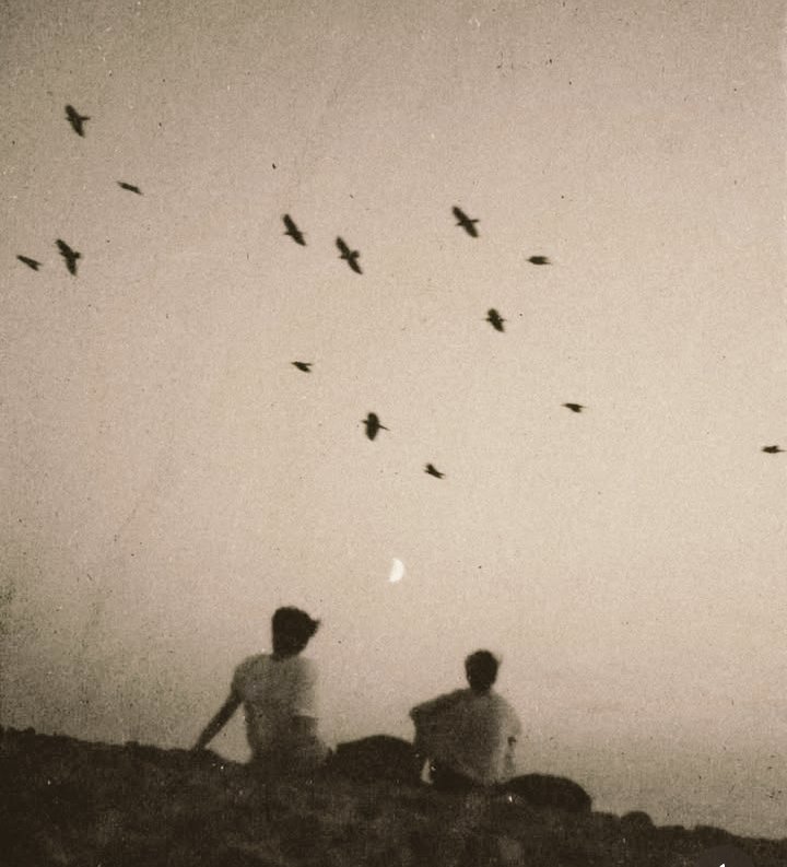 Atardecer_90's tweet image. "...usted es una de las pocas razones por las que estoy contento de haber vivido en este tiempo. Se lo digo así, sin vueltas, porque sé que me va a comprender".

              -Julio Cortázar-