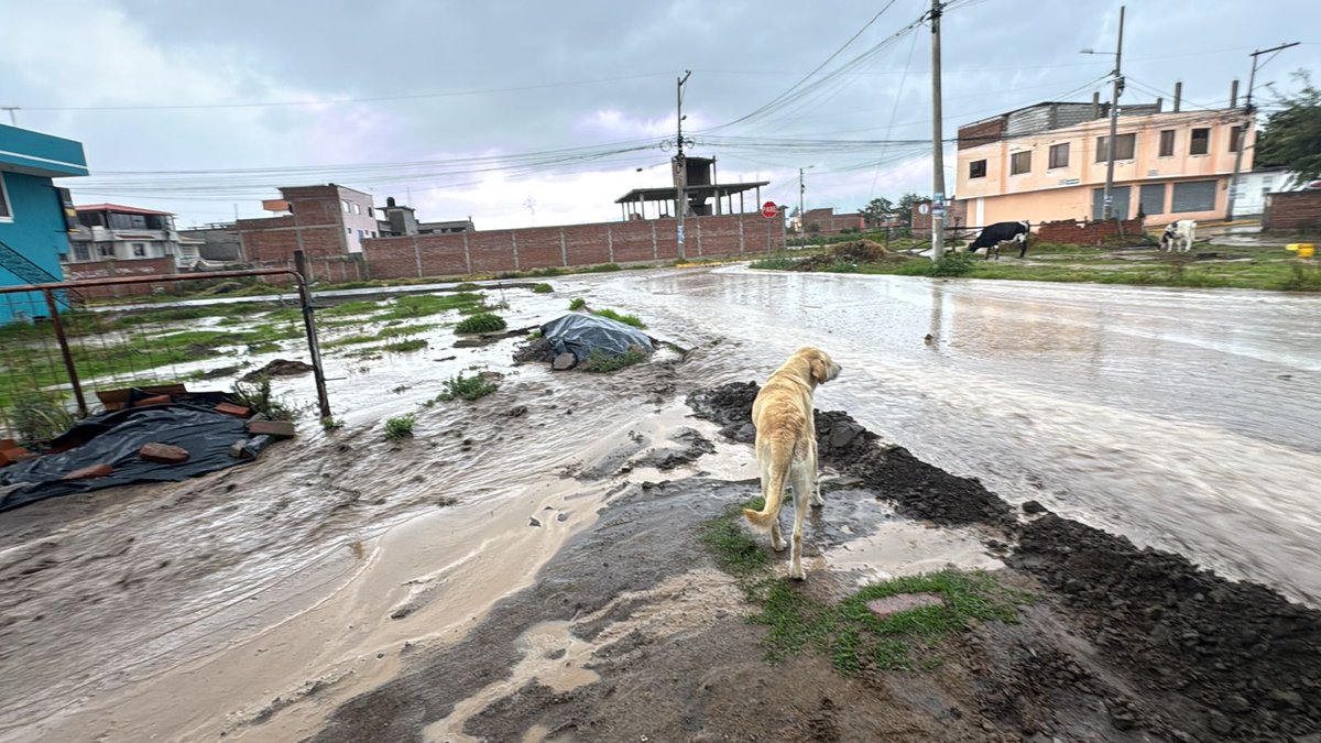 🛑Lluvias afectaron barrios de #Riobamba, la tarde de este domingo.
facebook.com/share/p/186cFX…