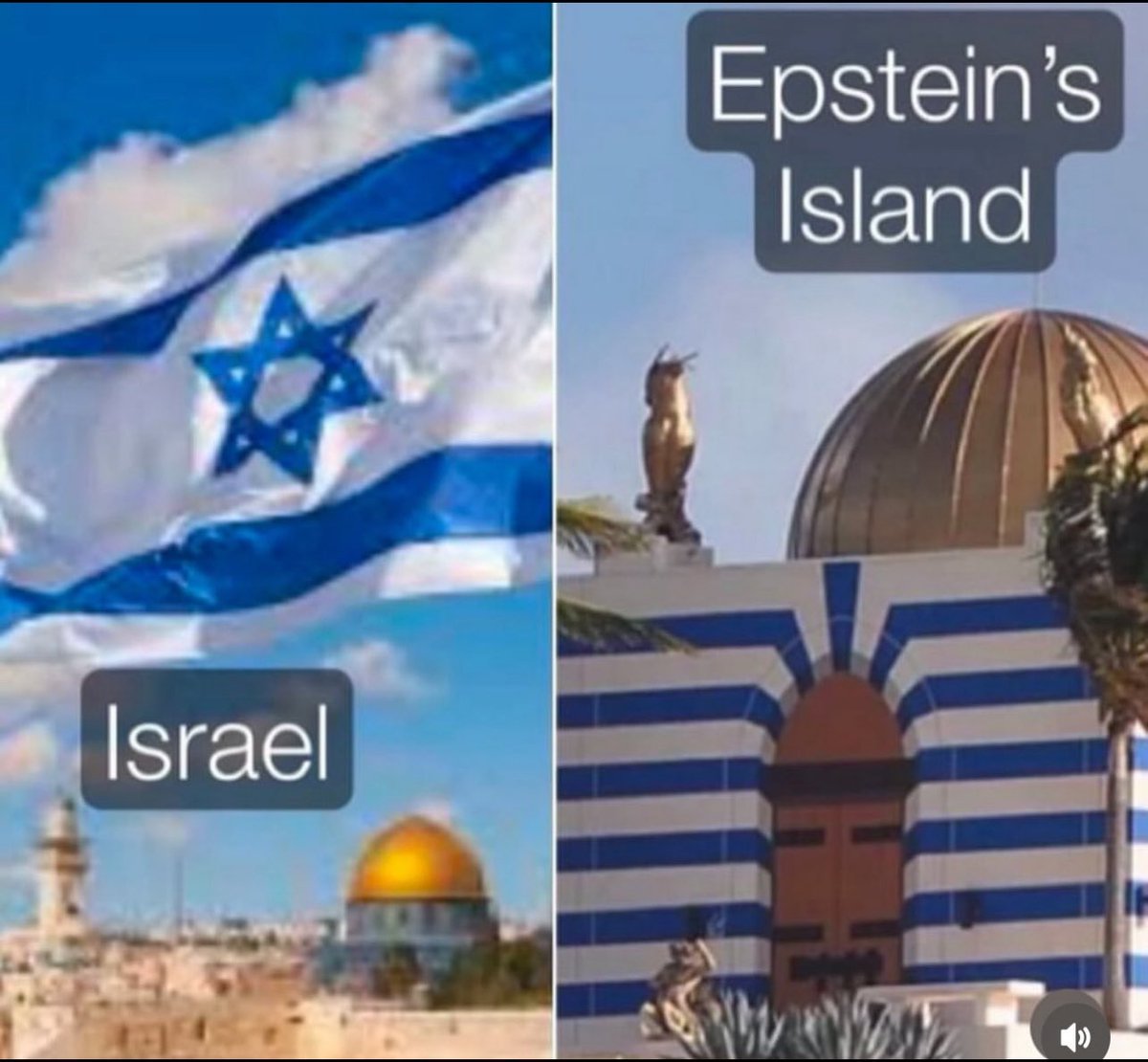 eGold Duck tweet media