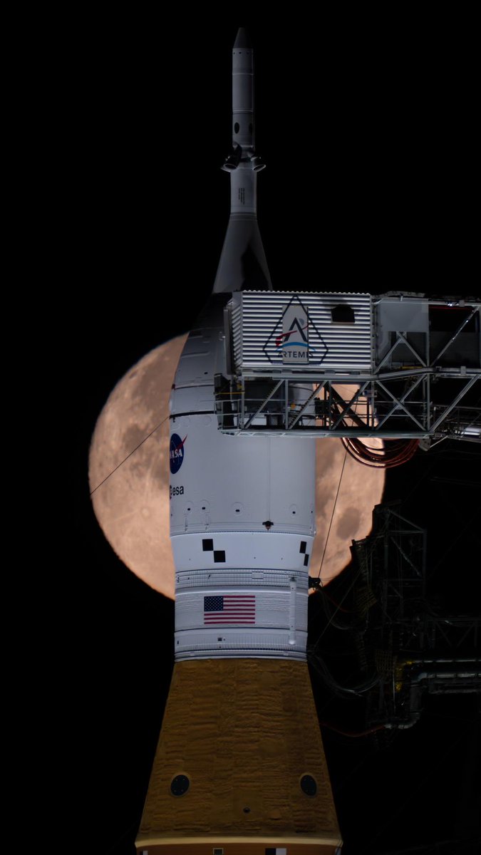 Ned Oliveira tweet media