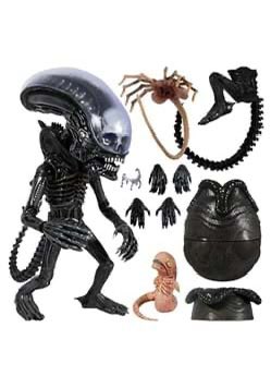fivefortweeting's tweet photo. Anything to do with Alien Vs Predator will make everything way more fun having that โฅ๏ธ #SpacedOutPresents https://t.co/uB90mlGFHE