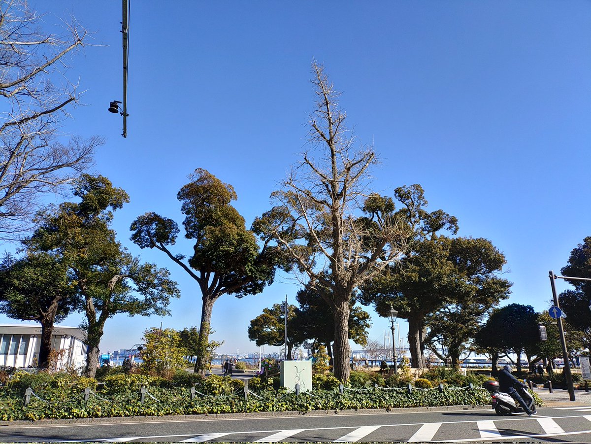 イーサン tweet media