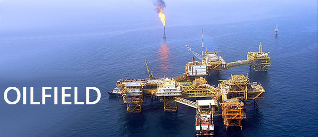 Massive sporadic movement/s in Gold and Oil 
Holding steady on sideways movement since 30 Jan '26
~