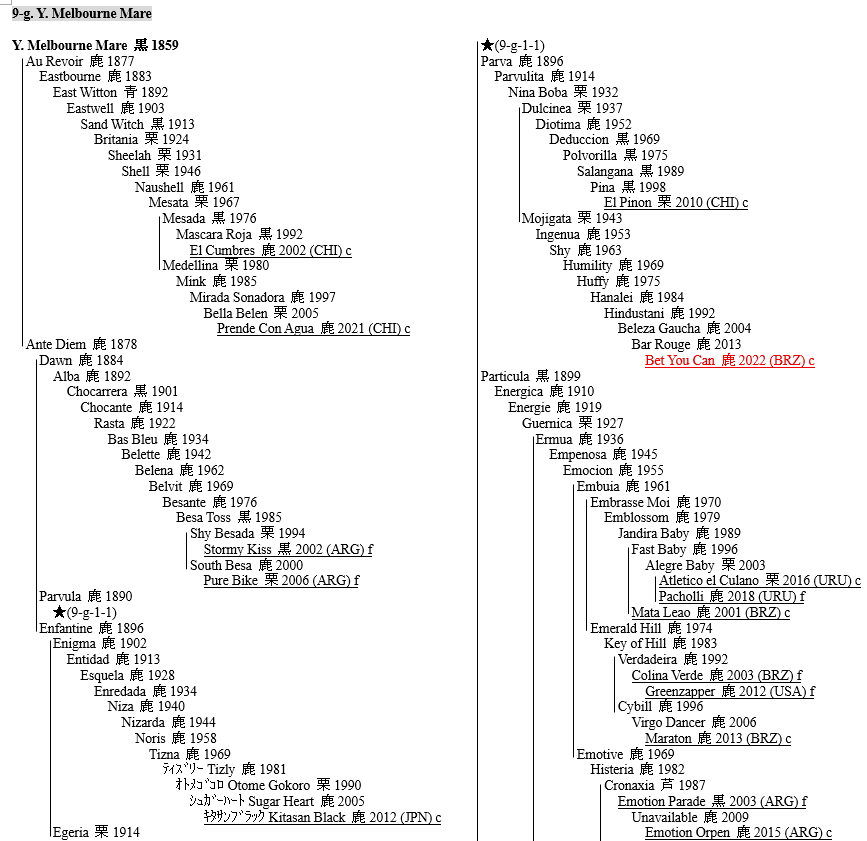 堀田 茂 Shigeru Hotta tweet media