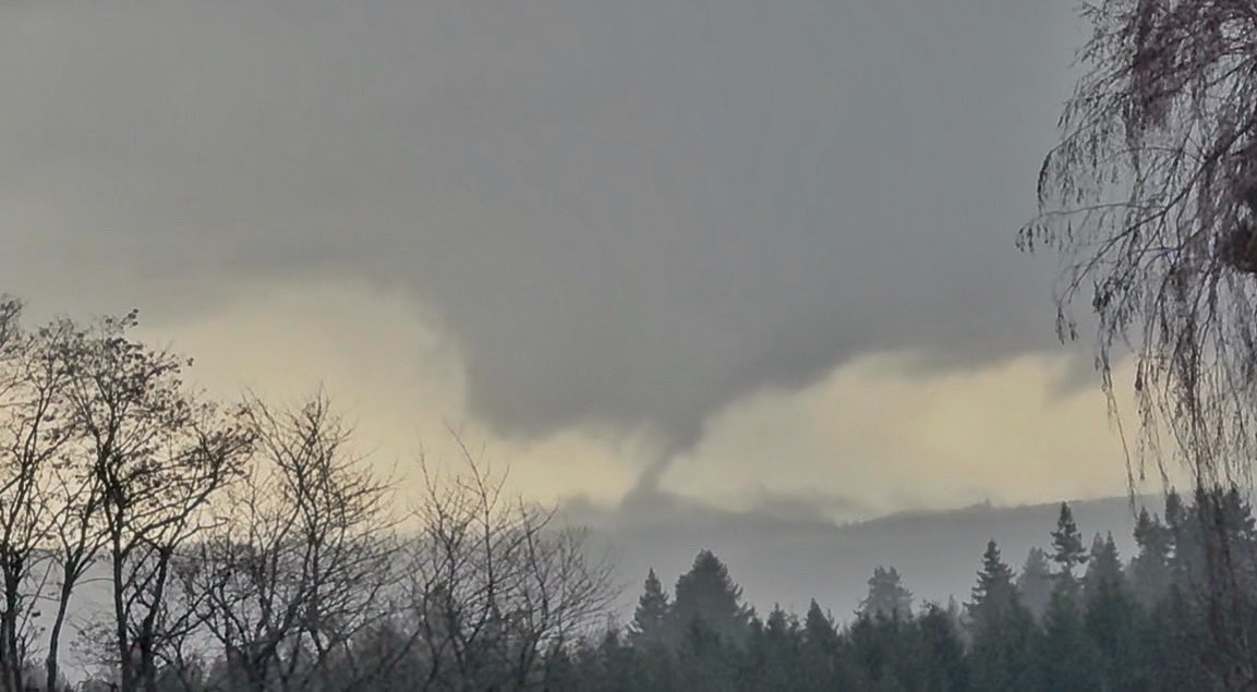 Melissa Barackman tweet media