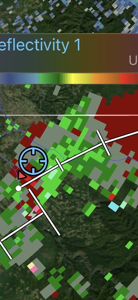 Melissa Barackman tweet media