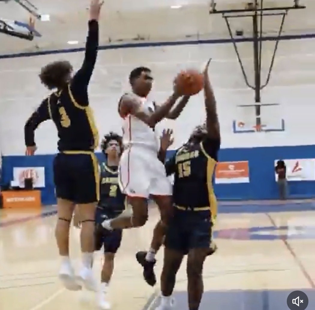 WA Lions Basketball tweet media