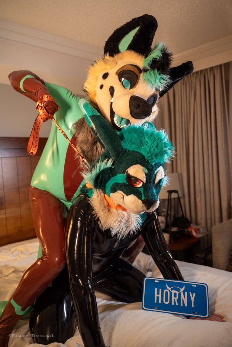 Derecho Hyena tweet media