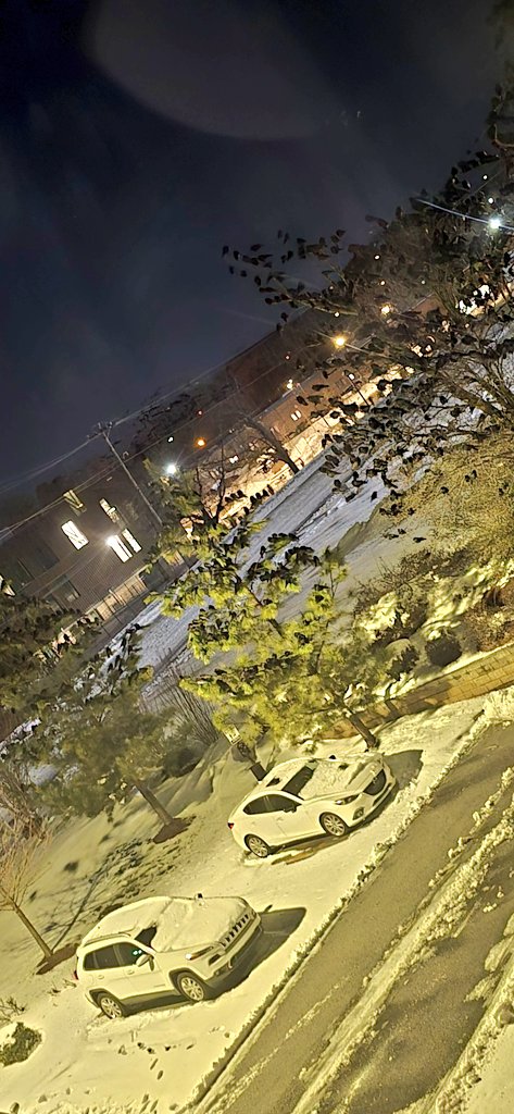 Matthew Weaver tweet media