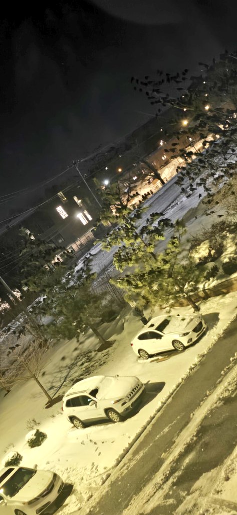 Matthew Weaver tweet media