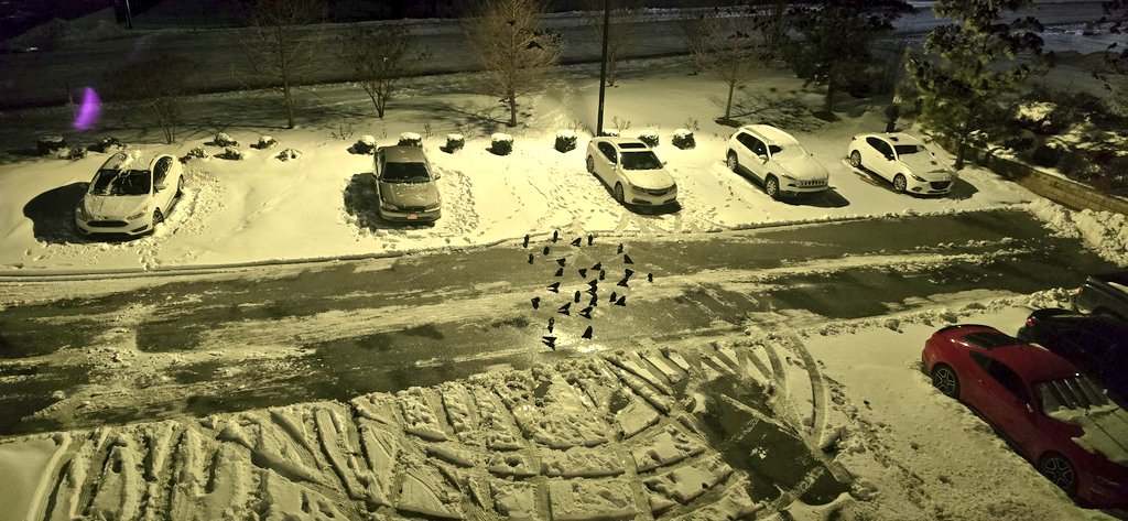 Matthew Weaver tweet media