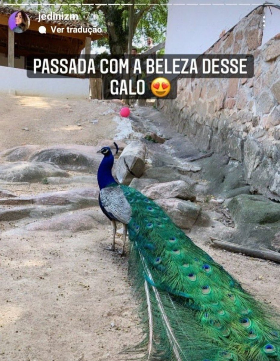 yasutoki (@yungmonsterx) on Twitter photo 