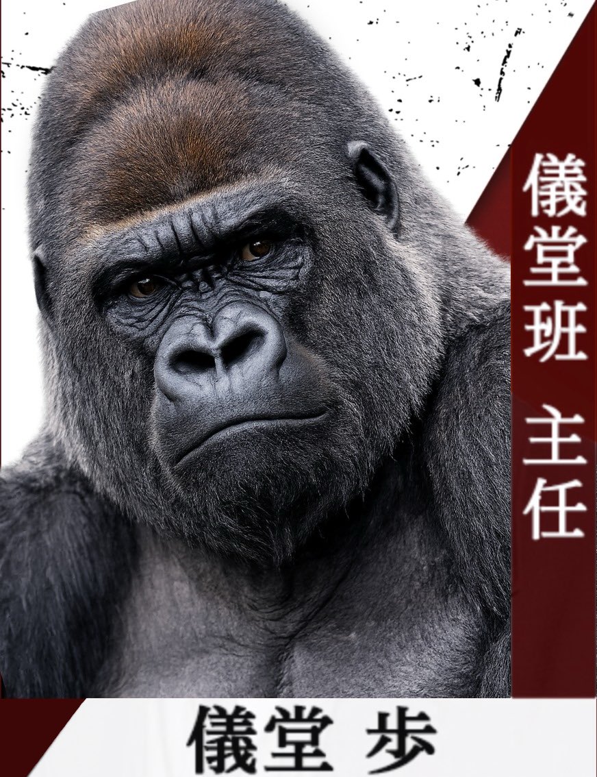 第3話のタイトルが【生きとったんかワレ‼︎】そして次回第4話のタイトルも【生きとったんかワレ‼︎】。という事は次回遂に出るという事ですね？このどちらかは絶対出てくる！そう認識してよろしいんですね？