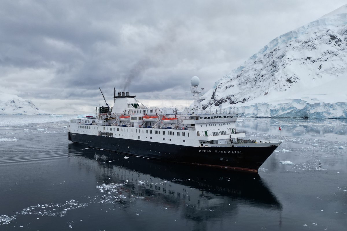 Shipping Telegraph tweet media