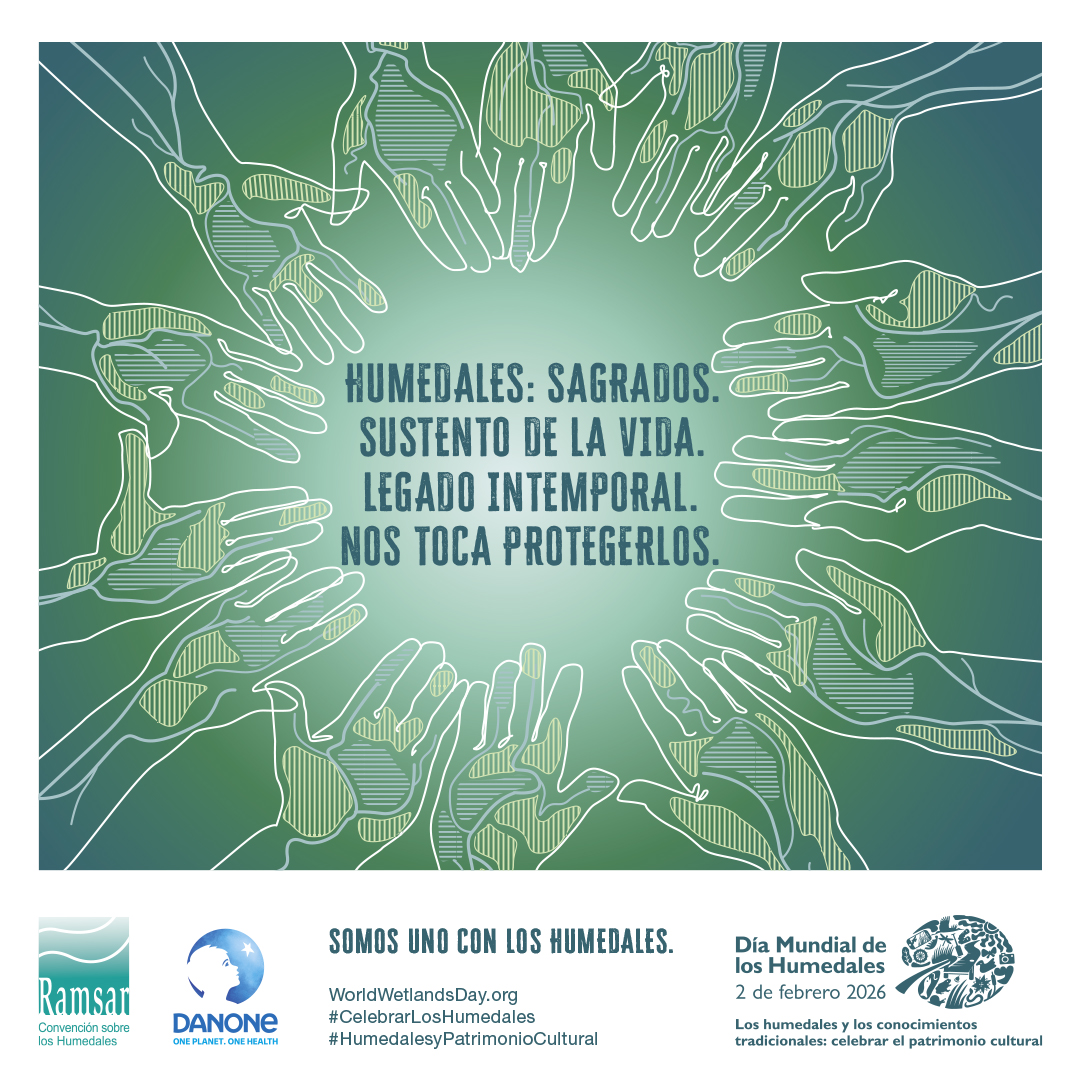 El 2 de febrero de cada año se celebra el “Día Mundial de los Humedales” en conmemoración del 2 de febrero de 1971, cuando se firmó en la ciudad de Ramsar el tratado intergubernamental para la conservación y el uso racional de los humedales y sus recursos. #TareaVida