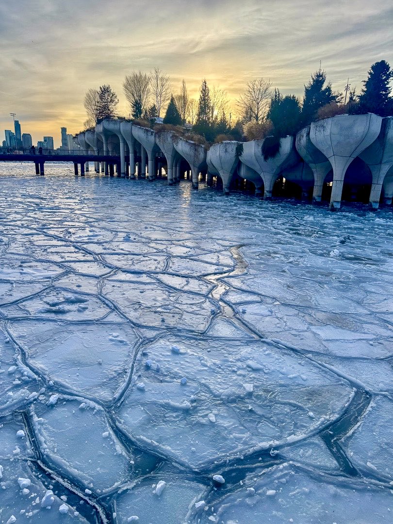 madsurf19's tweet photo. Gorgeous Gadwells on the Hudson River (around 13th/14), some Gulls taking on their beach only rep and a sunset that competed with the cold to take one’s breath away 1.1.26 #birdcpp #nikonphotography #iphonephotography #stillchilly https://t.co/zrWpEu0D6R