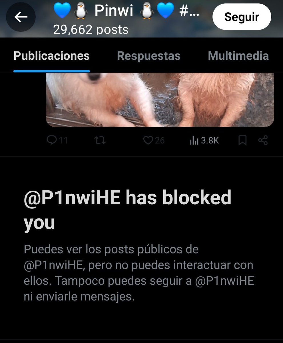 ME BLOQUEO LA CERDITA INDIGENA KKKK