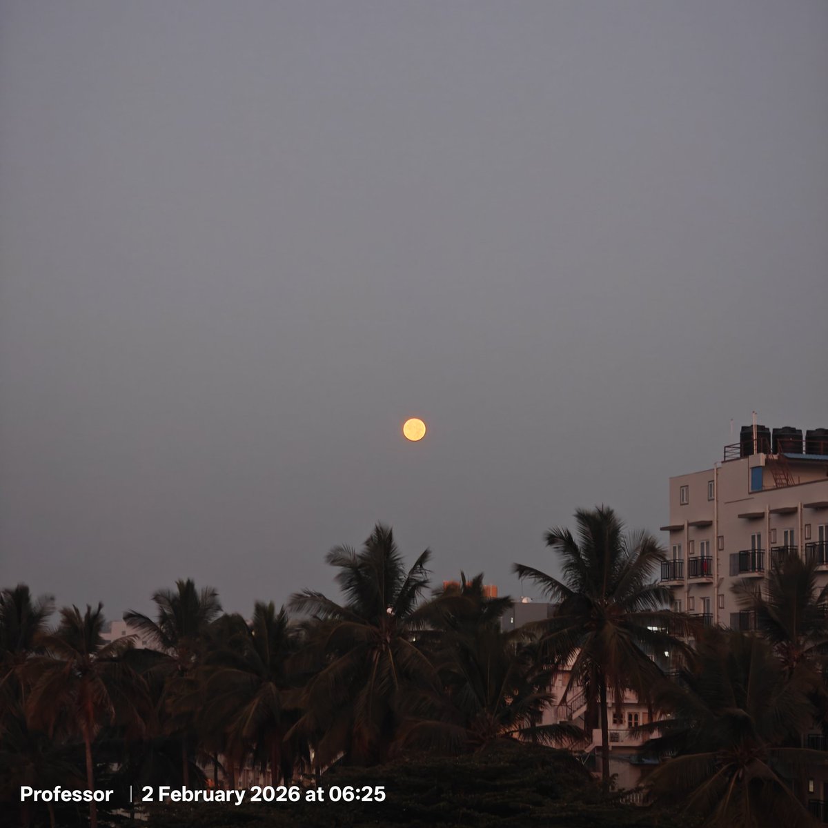 Professor tweet media