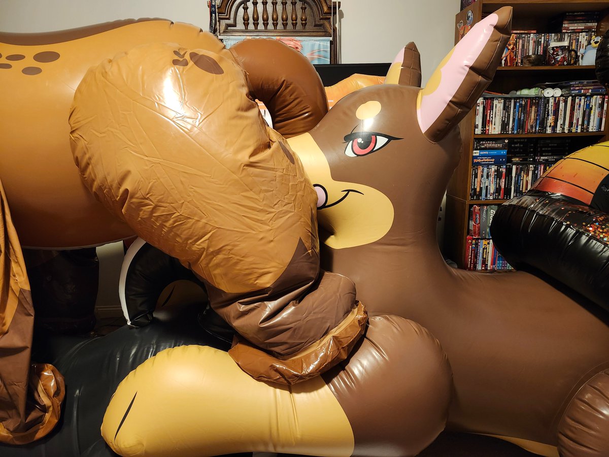 Tico Wolf tweet media