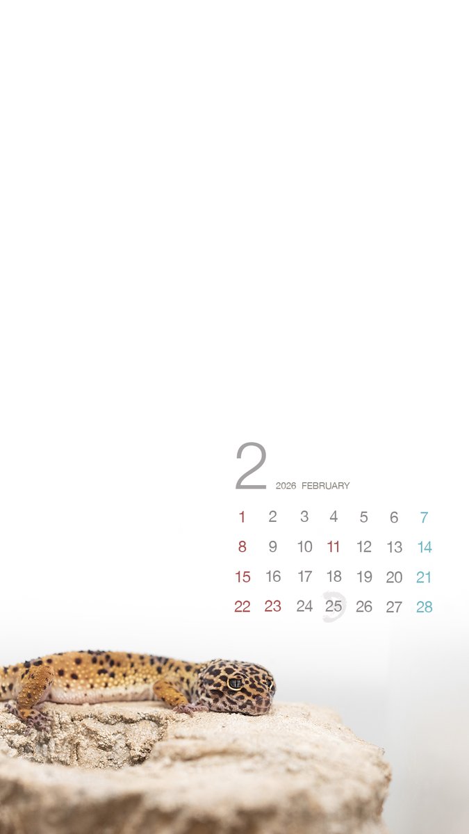 月光堂【 爬虫類シェルター制作所】 (@tsukinohikari32) / Posts / X