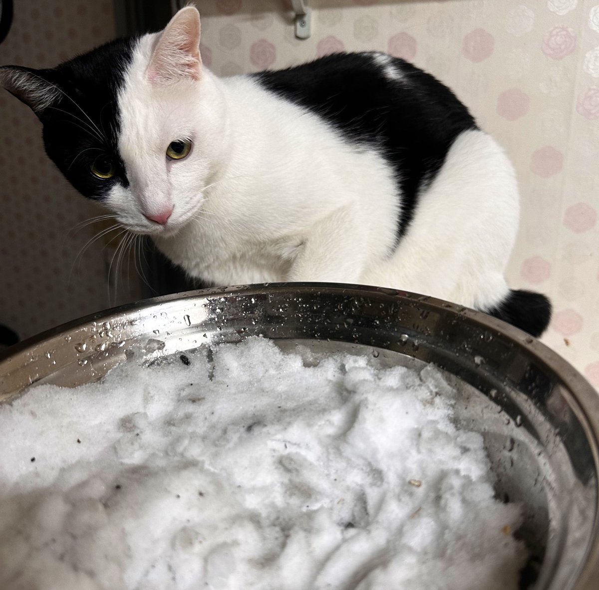 왜갖고왔냬

미안