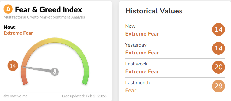比特币总裁 tweet media