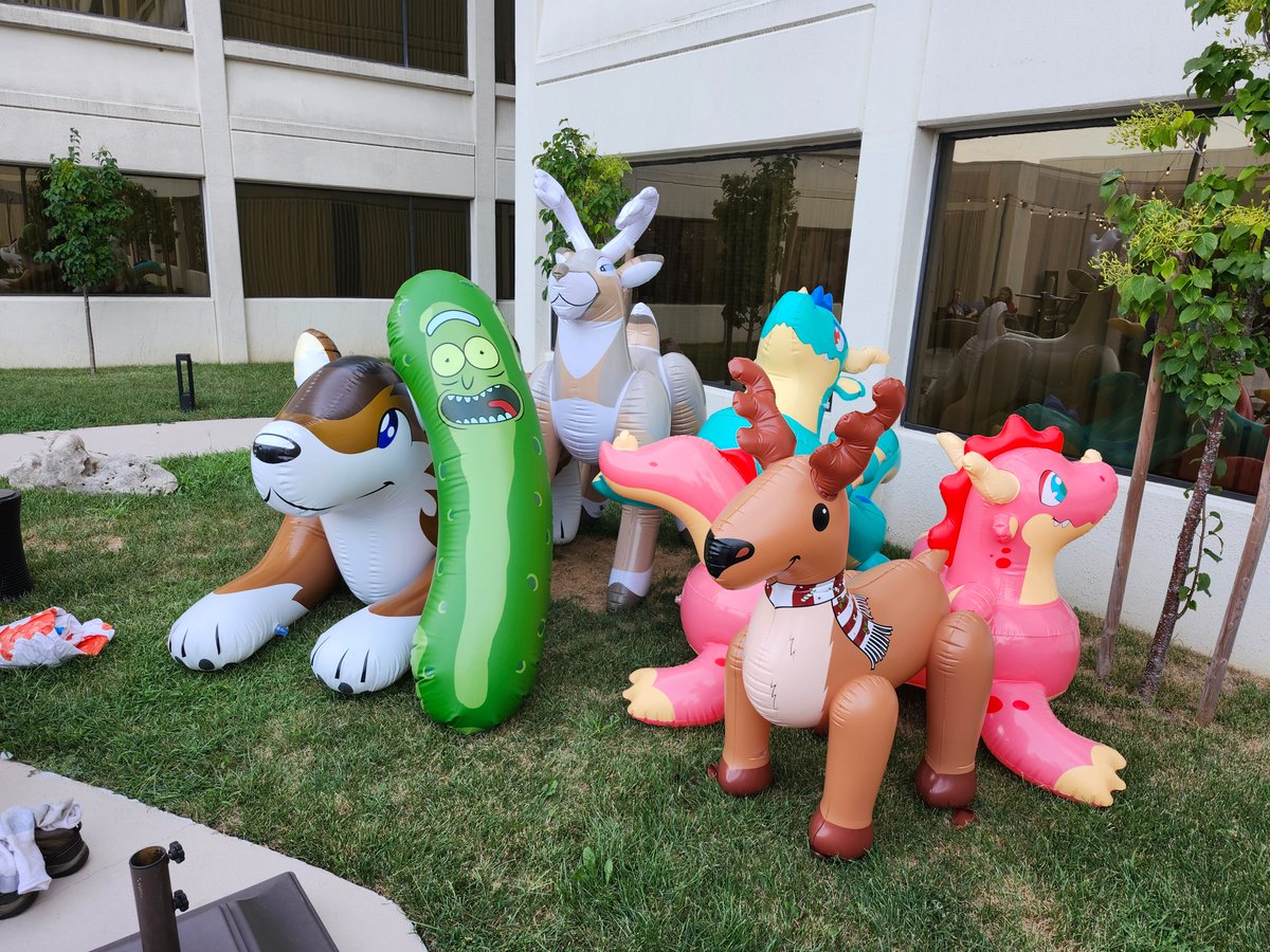 Tico Wolf tweet media