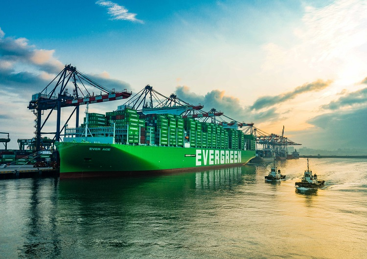 Shipping Telegraph tweet media