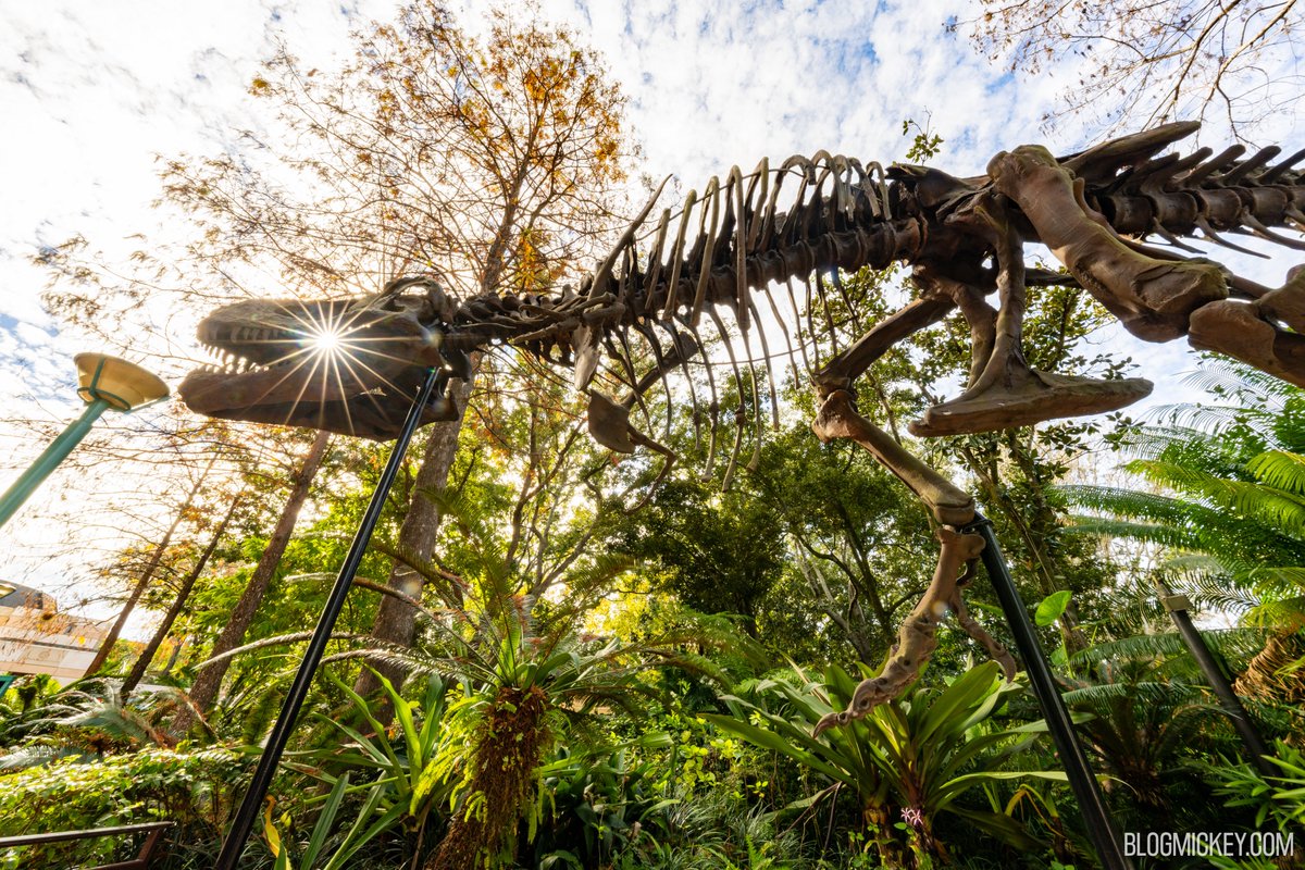 🎶 In the jaws of an angel 🎶