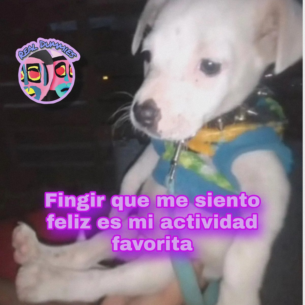 Real Dummies tweet media