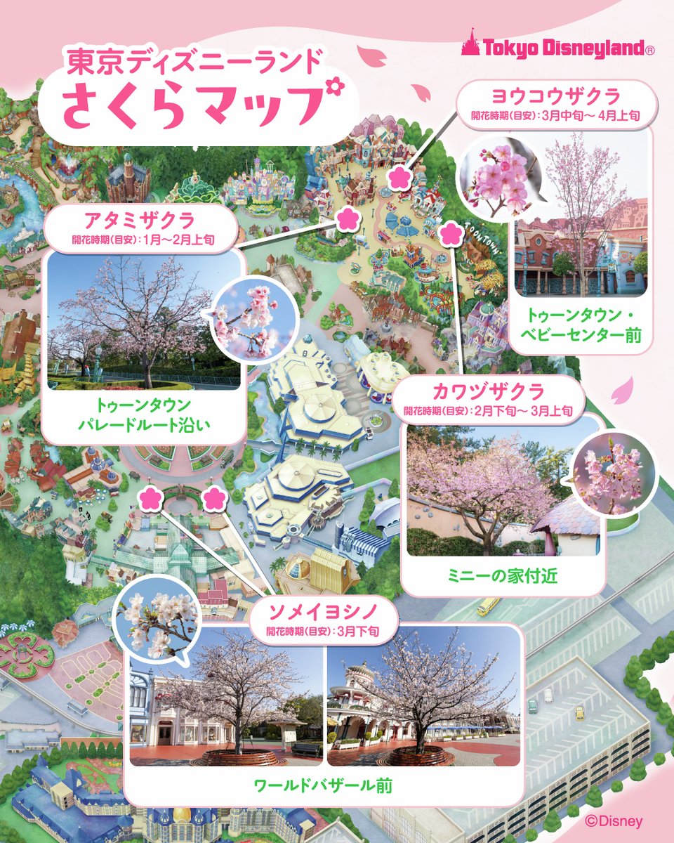 TDR ディズニー ぷらん (@disney_tdr_plan) / Posts / X