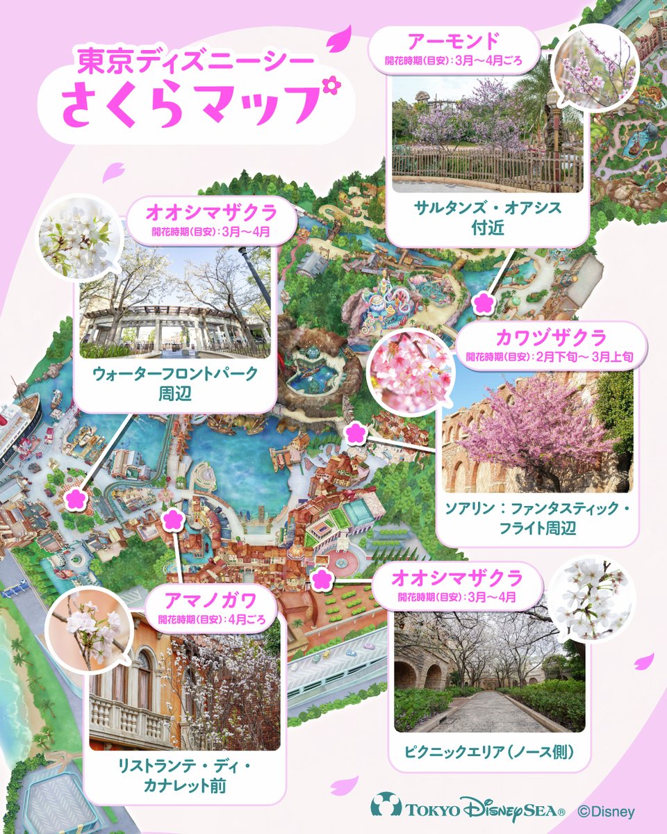 東京ディズニーリゾートPR【公式】 tweet media