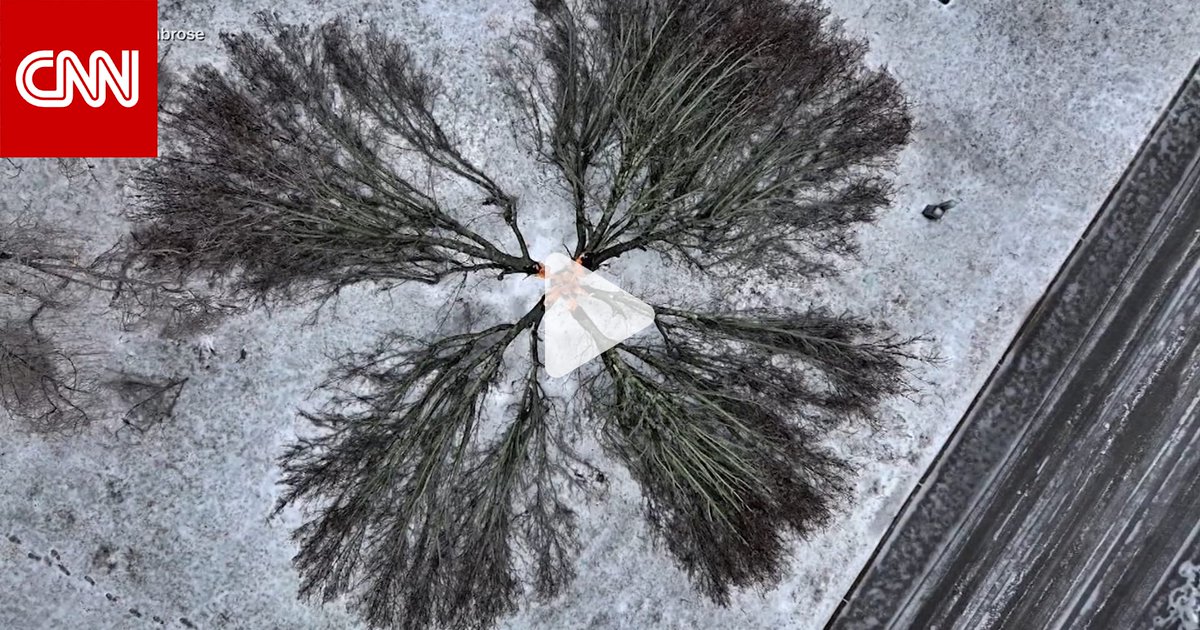 صورة نادرة من تينيسي.. البرد القارس يشطر شجرة إلى أربعة أقسام متناسقة في مشهد سريالي وثّقه مصوّر وسط موجة تجمّد شديدة 