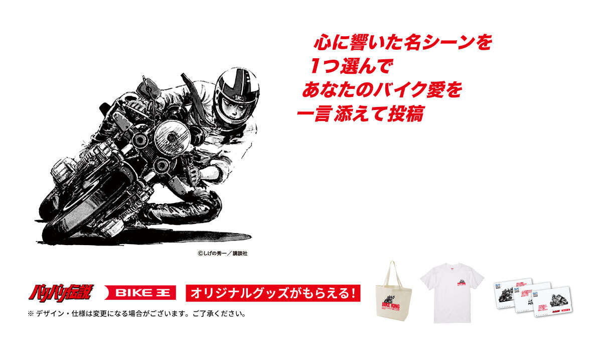 せんちゃん🐾 (@sen1043h) / Posts / X